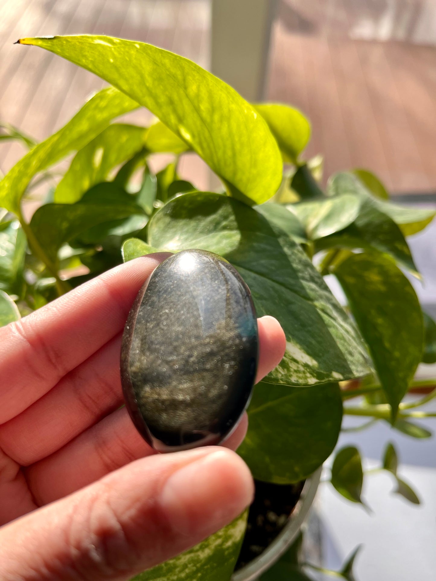 Gold Obsidian Palmstone