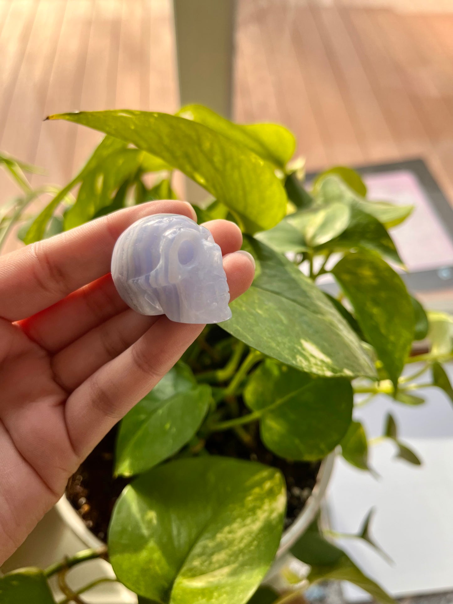 Blue Lace Agate Skull
