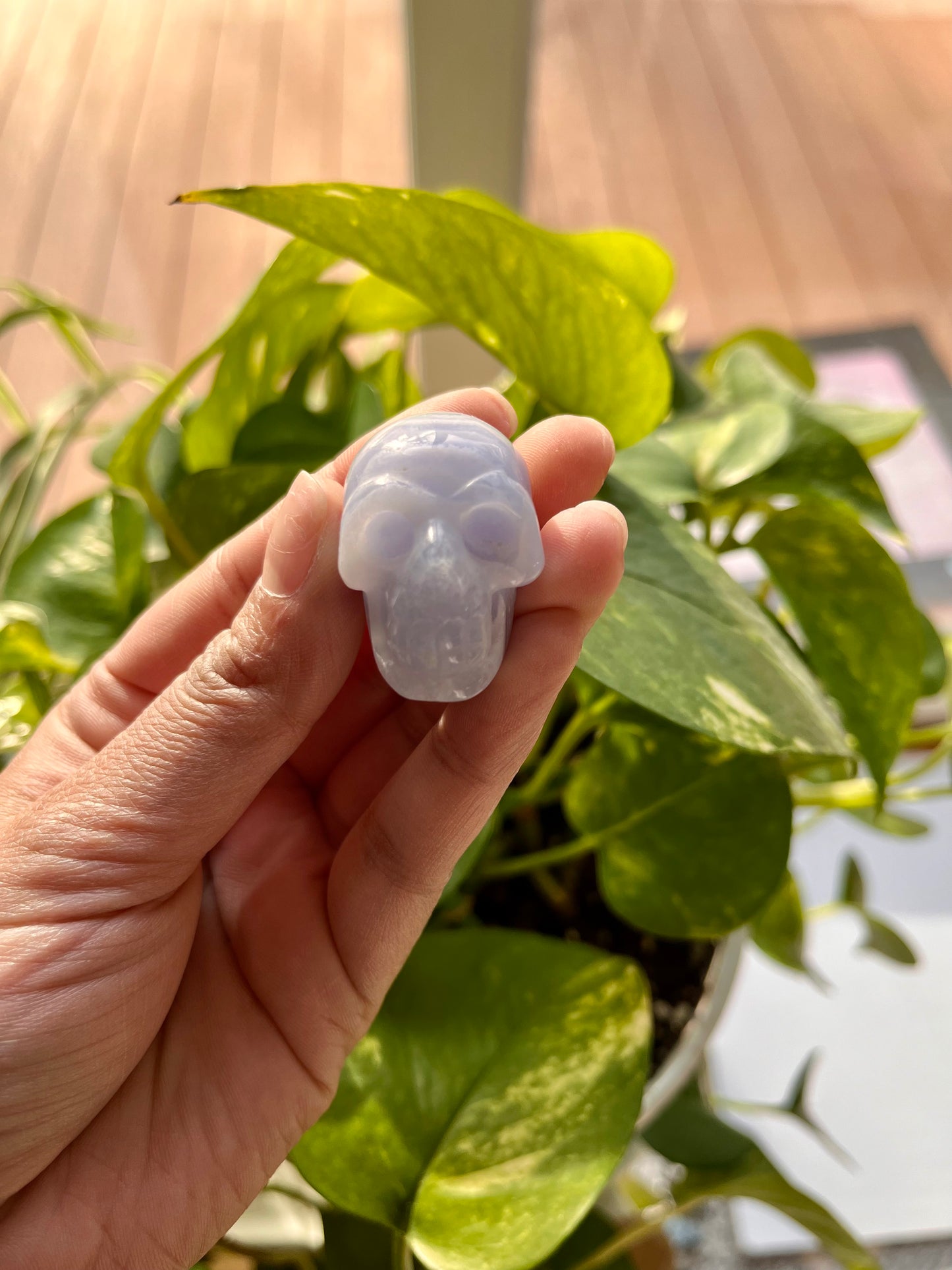 Blue Lace Agate Skull