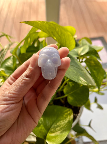 Blue Lace Agate Skull