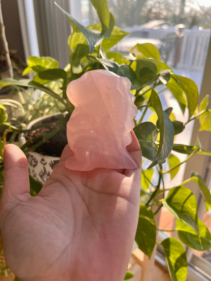 Rose Quarts Dinosaur