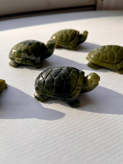 Jade Turtle | A