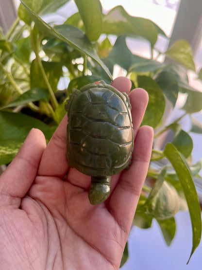 Jade Turtle | E