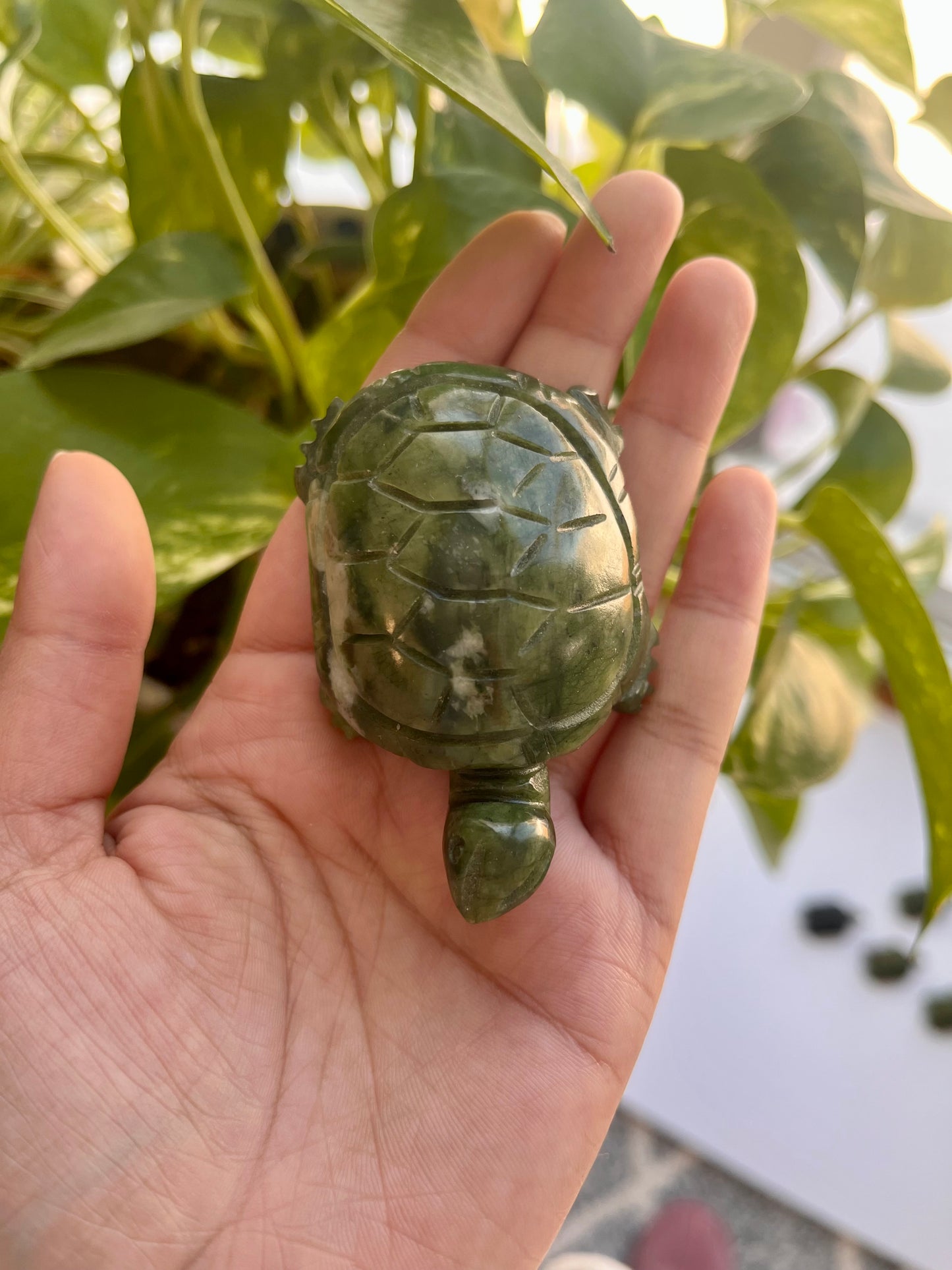 Jade Turtle | A