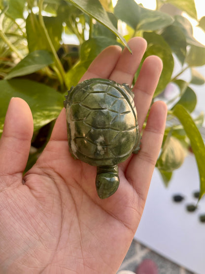 Jade Turtle | A