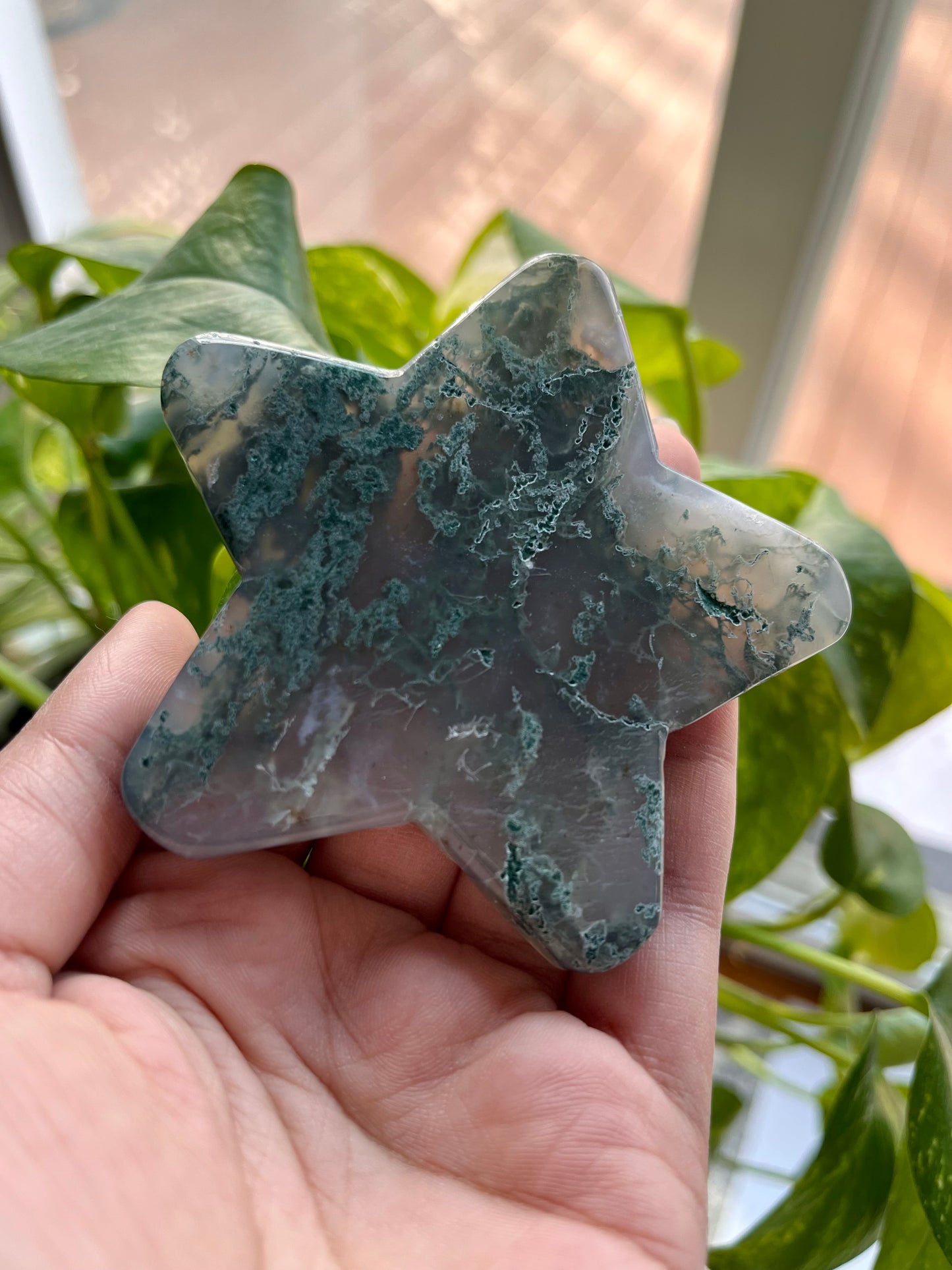 Moss Agate Star | C