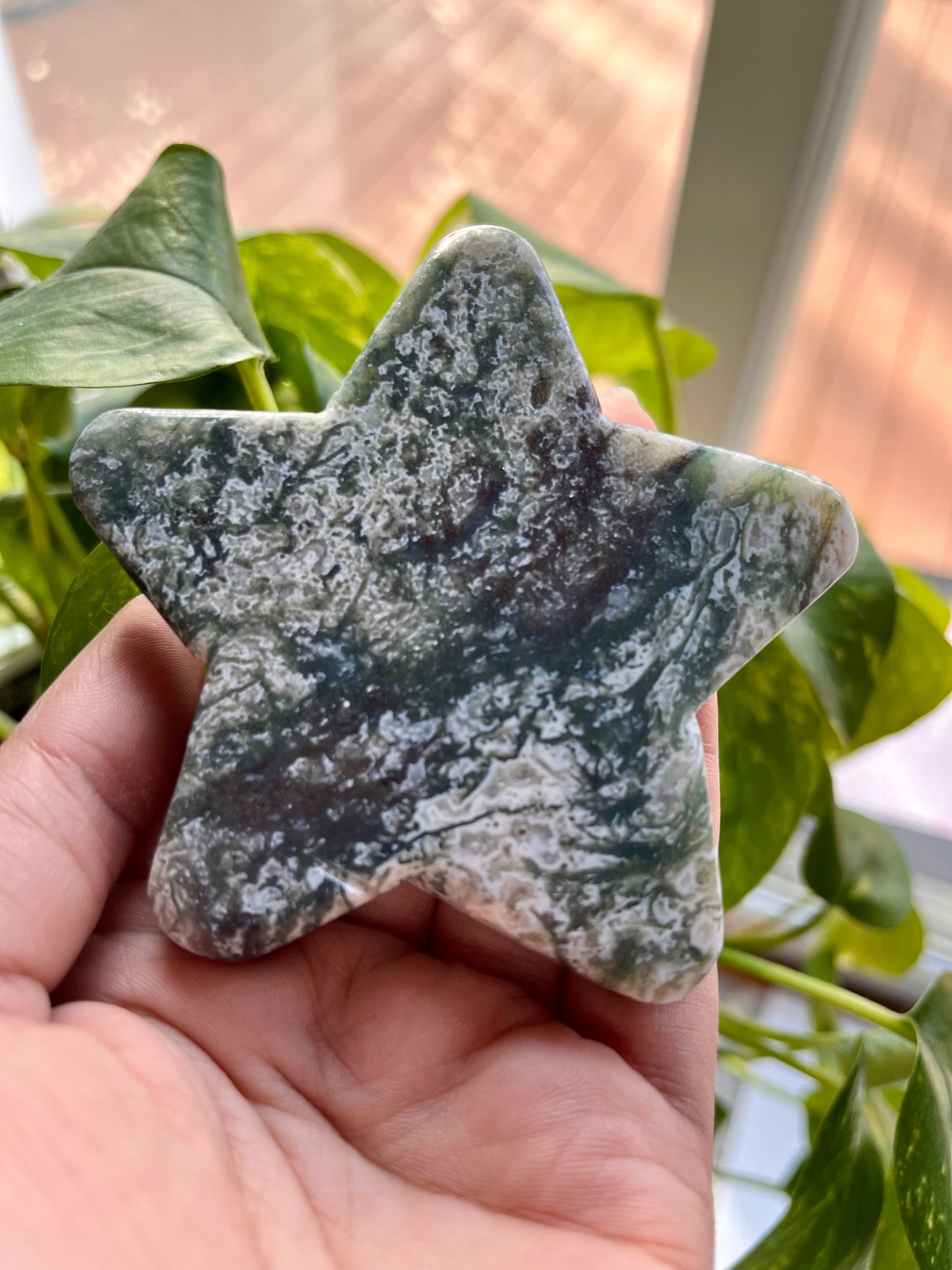 Moss Agate Star | D