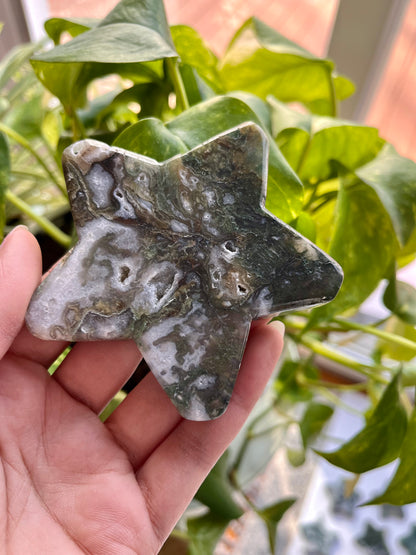 Moss Agate Star | I
