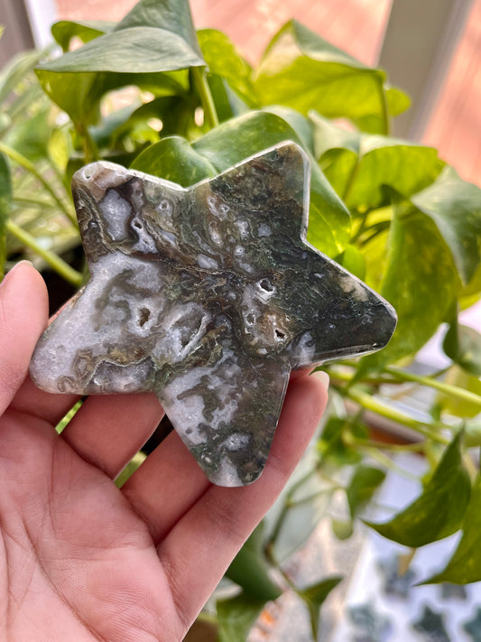 Moss Agate Star | I