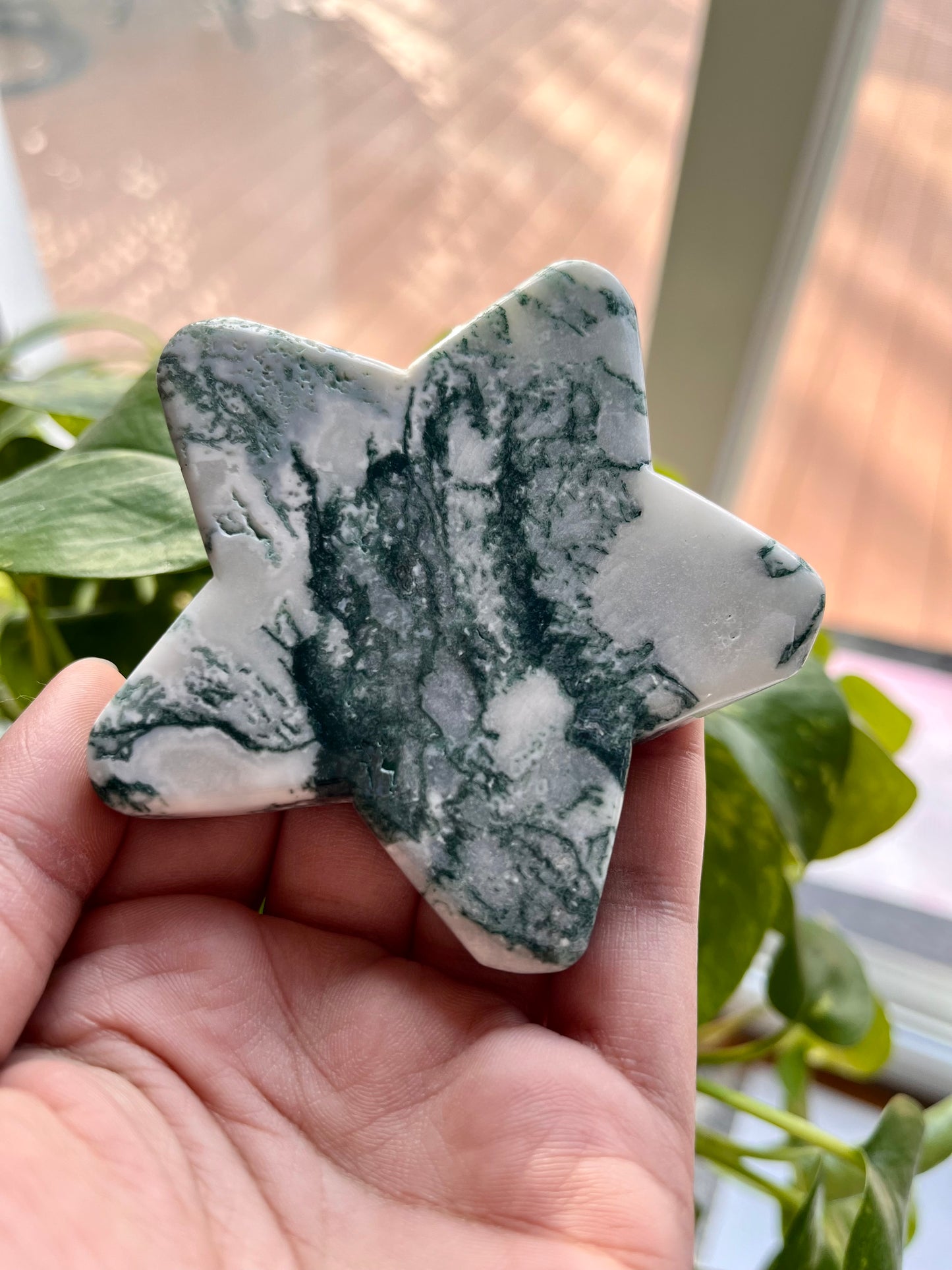Moss Agate Star | E