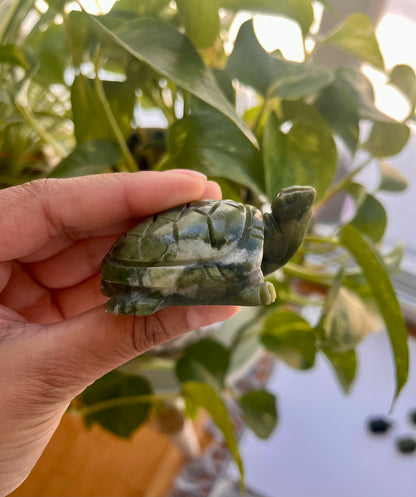 Jade Turtle | A