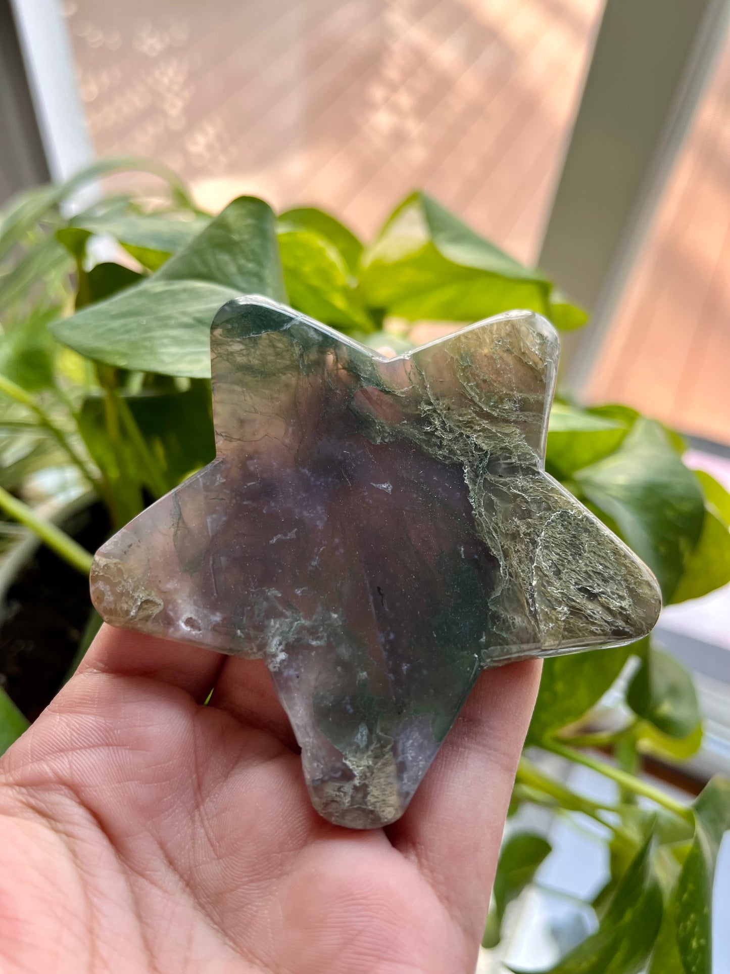 Moss Agate Star | F