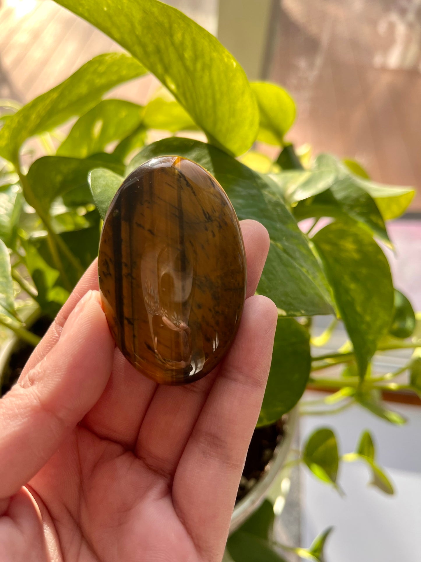 Tiger Eye Palmstone