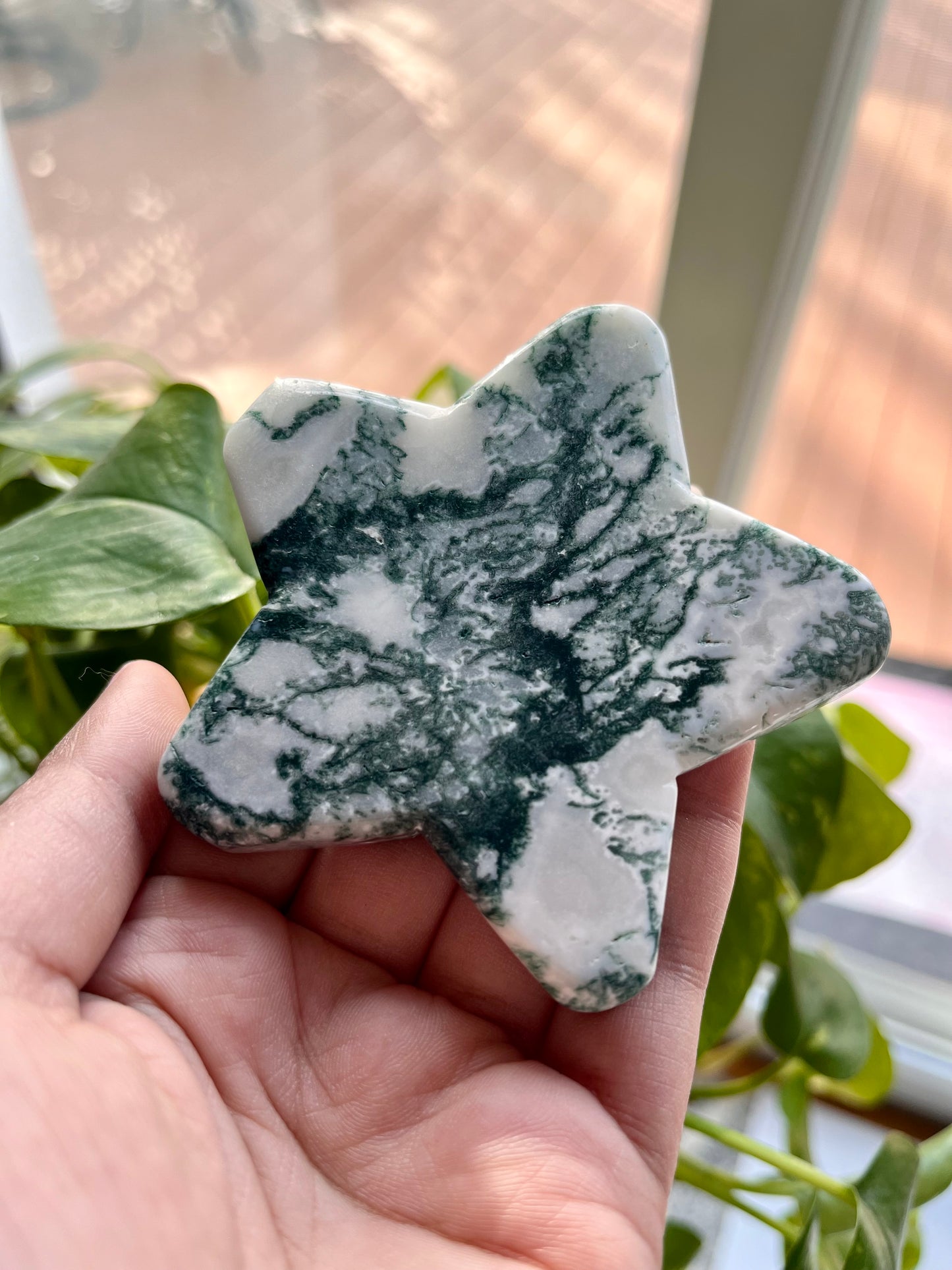 Moss Agate Star | E