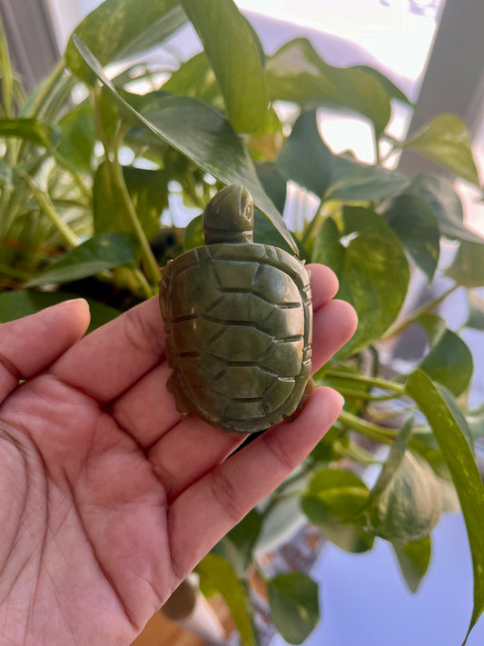 Jade Turtle | C