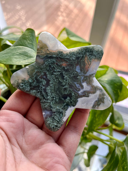 Moss Agate Star | B