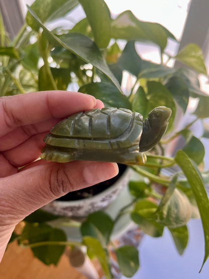 Jade Turtle | E