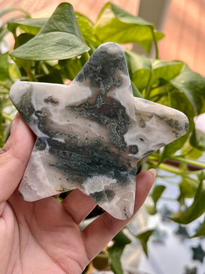 Moss Agate Star | H