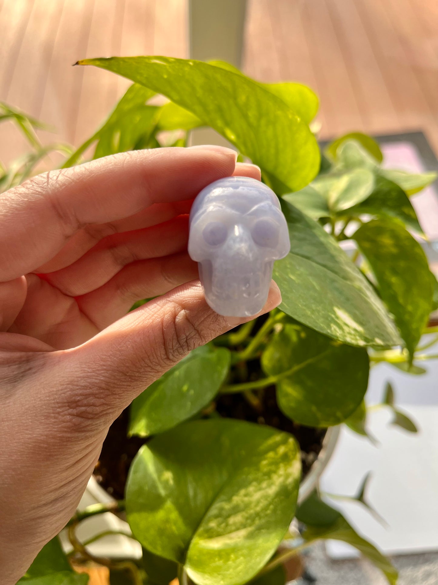 Blue Lace Agate Skull