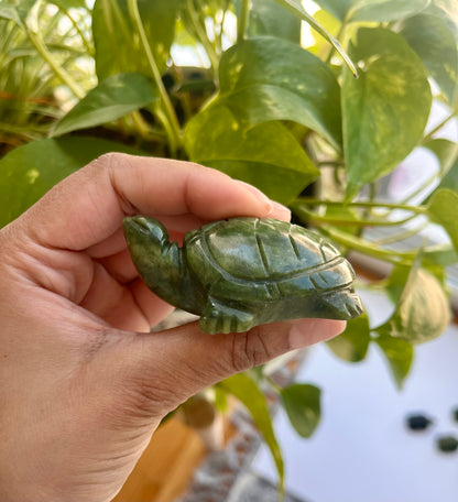 Jade Turtle | A