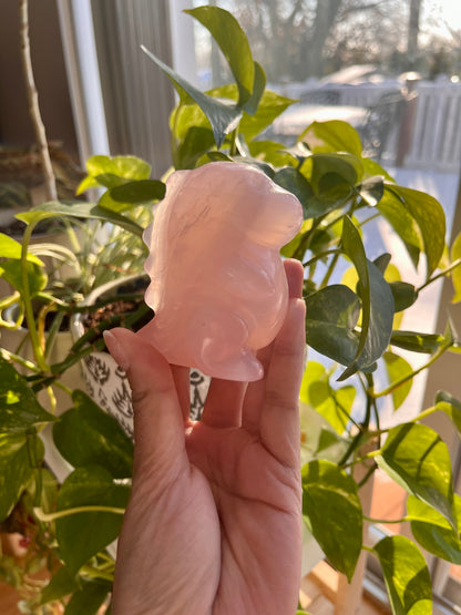 Rose Quarts Dinosaur