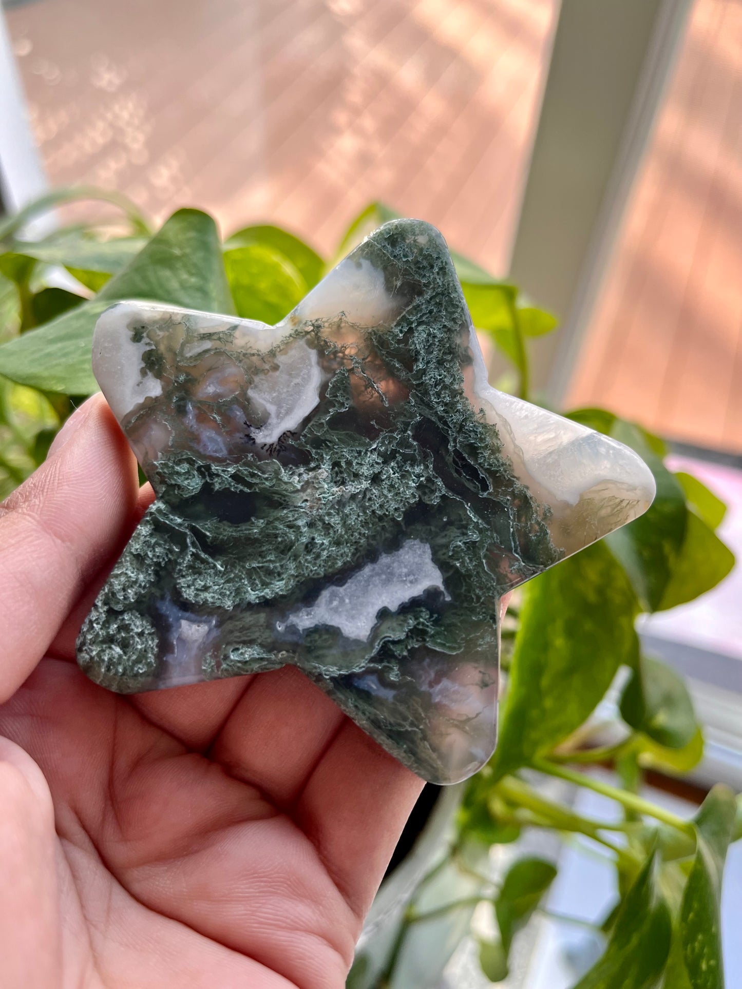 Moss Agate Star | B