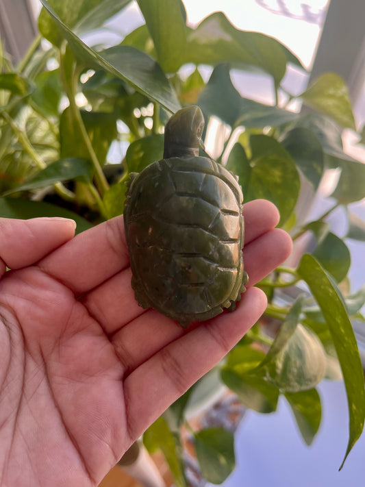 Jade Turtle | E