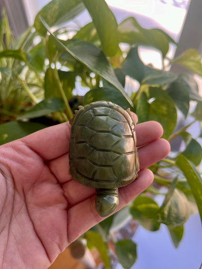 Jade Turtle | C