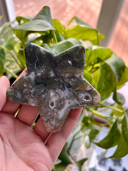Moss Agate Star | I
