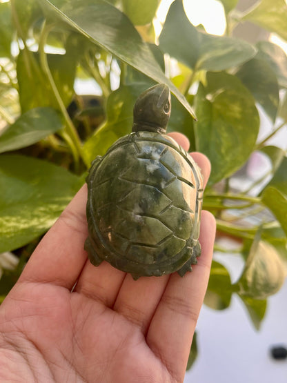 Jade Turtle | A