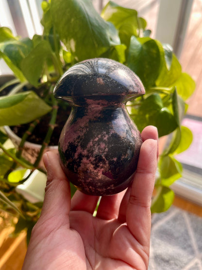 Rhodonite Mushroom