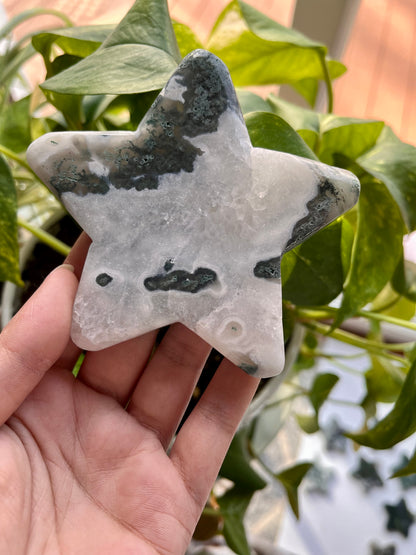 Moss Agate Star | H