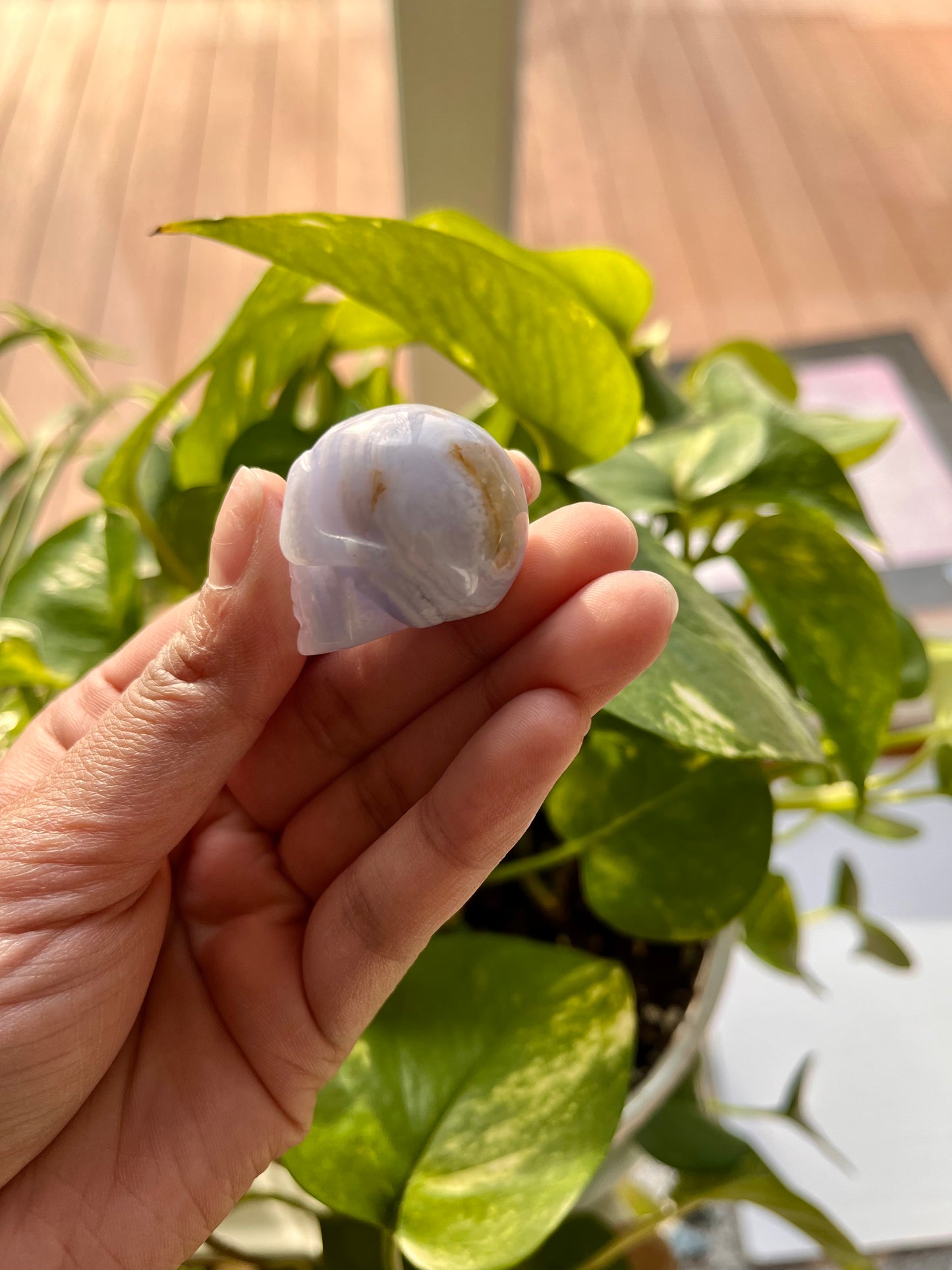Blue Lace Agate Skull